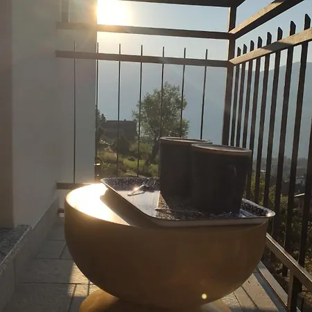 The View 1